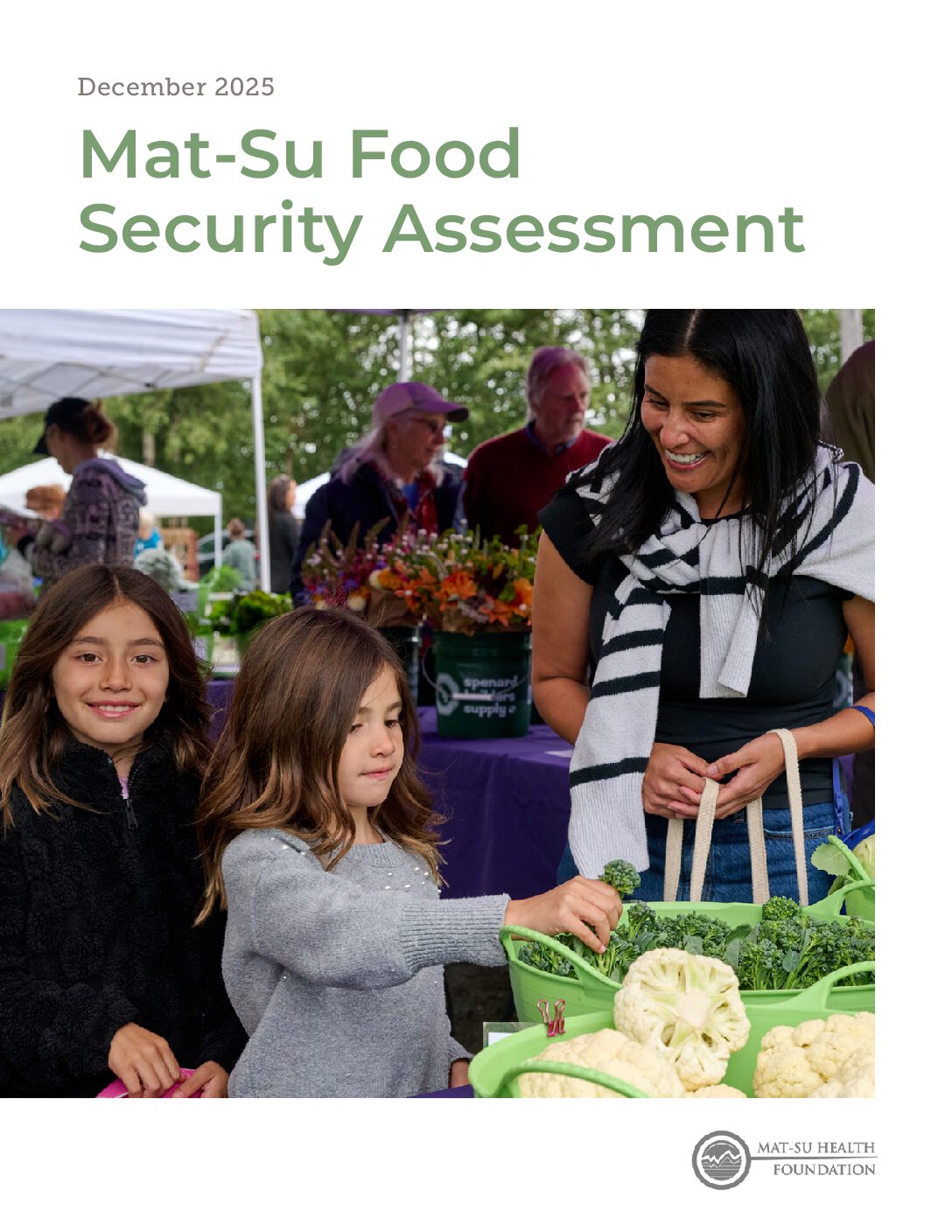 Mat-Su Food Security Assessment