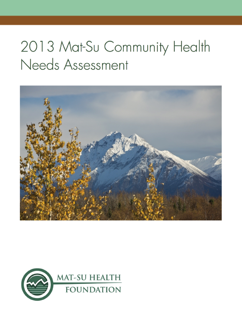 2013 Community Health Needs Assessment: Full Report
